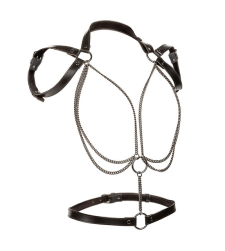 CALEXOTICS - EUPHORIA HARNAIS LICOL MULTICHAÎNES PREMIUM GRANDE TAILLE