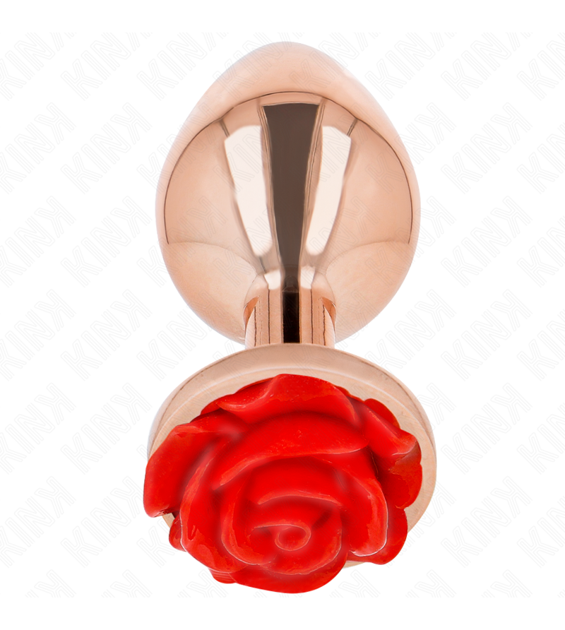 KINK - PLUG ANAL OR ROSE AVEC ROSE ROUGE L