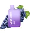 LOST MARY - BM600 VAPER NICOTINE 2% JETABLE RAISIN