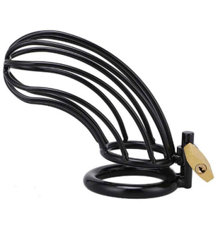 METAL HARD - CAGE DANNEAU...