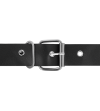 HARNESS ATTRACTION - RNES TAYLOR DELUXE 18 CM -O- 4.5 CM