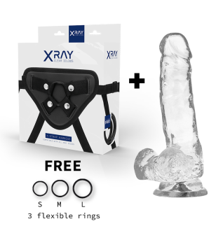 X RAY - HARNAIS + BITE TRANSPARENT AVEC BILLES 18.5 CM -O- 3.8 CM