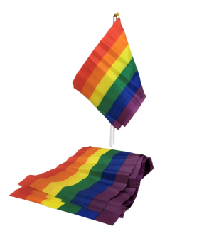 FIERTÉ - DRAPEAU LGBT PETIT...
