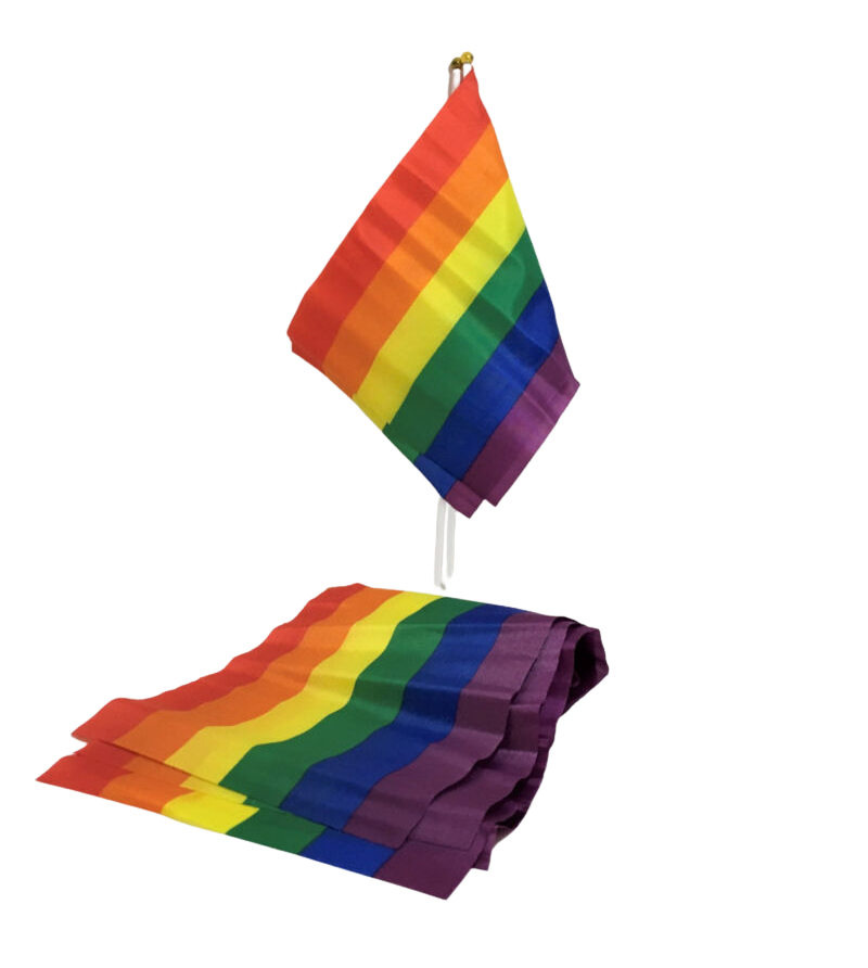 PRIDE - PETITE BANNIÈRE DRAPEAU LGBT