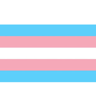 PRIDE - DRAPEAU TRANSEXUEL 90 X 150