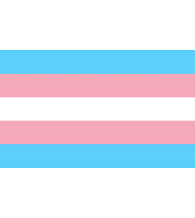 PRIDE - DRAPEAU TRANSEXUEL 90 X 150