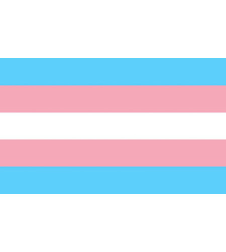 PRIDE - DRAPEAU TRANSEXUEL 90 X 150