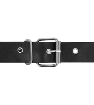 HARNESS ATTRACTION - RNES TAYLOR DELUXE 18 CM -O- 4.5 CM