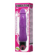 BAILE - VIBRATEUR MULTIVITESSES DAAPLY PLEASURE VIOLET