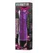 BAILE - VIBRATEUR MULTIVITESSES LILAS