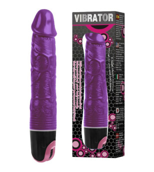 BAILE - VIBRATEUR MULTIVITESSES LILAS