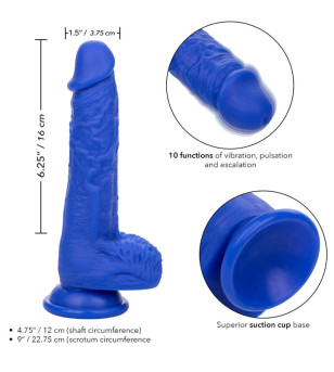 CALEXOTICS - ADMIRAL VIBRATEUR GODE RÉALISTE SAILOR BLEU