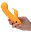 CALEXOTICS - MONTECITO MUSE VIBRATEUR LAPIN ORANGE PAR CALIFORNIA DREAMING