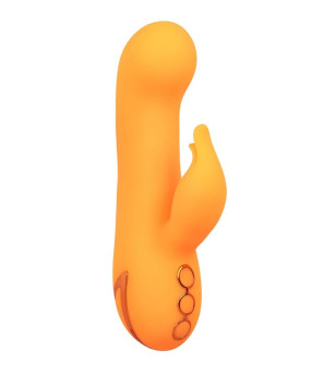 CALEXOTICS - MONTECITO MUSE VIBRATEUR LAPIN ORANGE PAR CALIFORNIA DREAMING