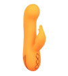 CALEXOTICS - MONTECITO MUSE VIBRATEUR LAPIN ORANGE PAR CALIFORNIA DREAMING