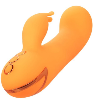 CALEXOTICS - MONTECITO MUSE VIBRATEUR LAPIN ORANGE PAR CALIFORNIA DREAMING